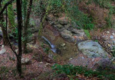 Randonnée A pied Bonassola - Reggimonti - Monte Gaggi - S.P. 64 - Monte Grumo - Photo