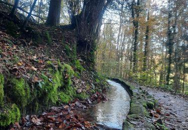 Randonnée Marche Echternach - mullerthal e1 - Photo