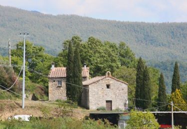 Tocht Te voet Pomarance - La Serra-Villa di Monterufoli - Photo