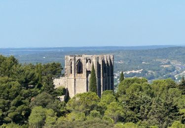 Trail Walking Gigean - St Félix de monceau la gardiole  - Photo