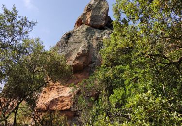 Trail Walking Le Muy - grottes de la Baume Renaude - Photo