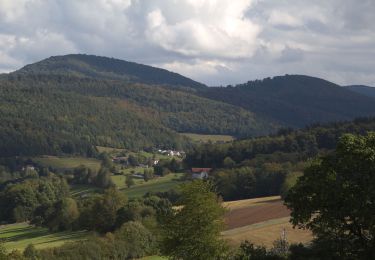 Excursión A pie Ebersburg - Rhön-Rundweg 1 Wachholderhuette - Photo