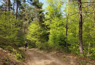 Trail Walking Cheylard-l'Évêque - La haute vallee du Langouyrou par Cheylard_l'Eveque - Photo
