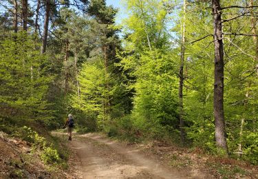 Tocht Stappen Cheylard-l'Évêque - La haute vallee du Langouyrou par Cheylard_l'Eveque - Photo