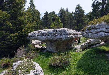 Trail Walking Entremont-le-Vieux - les champignons du Pinet - Photo