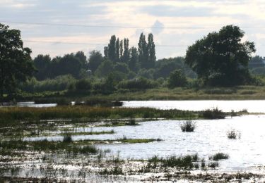 Tocht Te voet Nuenen c.a. - Blauw - Photo