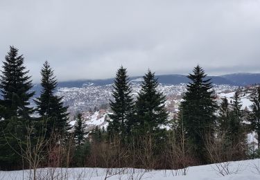 Excursión Raquetas de nieve Gérardmer - gerardmer2 - Photo