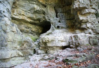 Tocht Te voet Gomadingen - hochgehkeltert - Photo