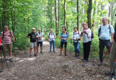 Tour Wandern Ymare - 20220705 La Breteque - Photo