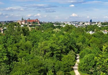 Tocht Stappen Onbekend - Lac de Zakrzowek - CRACOVIE - Pologne - Photo