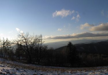 Trail On foot District of Sabinov - Tokáreň - Photo