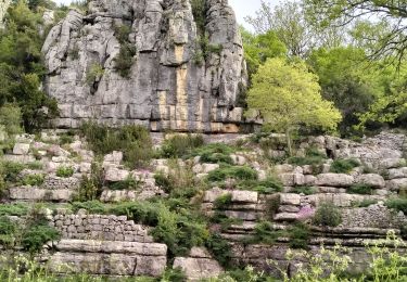 Trail Walking Labeaume - 07_labeaume-peroche_8km230m - Photo