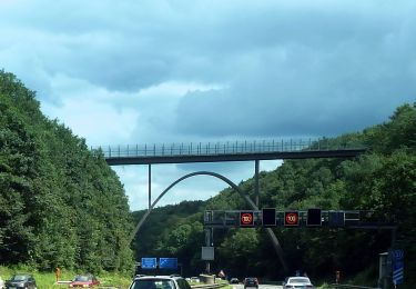 Tour Zu Fuß  - Gräfrath Rundweg A2 - Photo