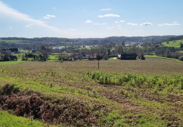 Trail Walking Béganne - FOLLEUX2 17 MARS 2022 - Photo