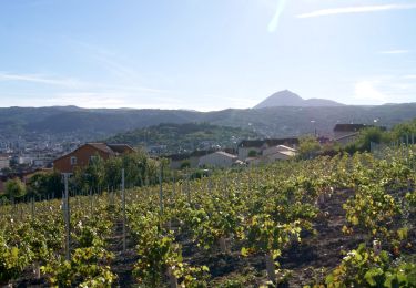 Excursión Senderismo La Sauvetat - Veyre_Gagne_Vin - Photo