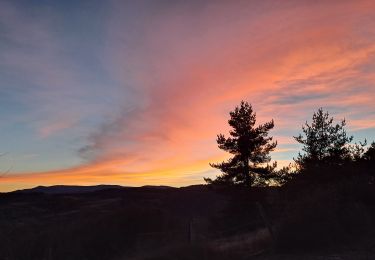 Excursión Senderismo Barre-des-Cévennes - Cam noire - Photo