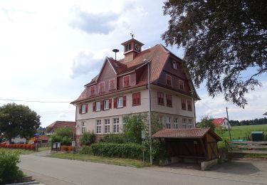 Tocht Te voet Neuweiler - Straßenwartshütte - Teufelsberg - Photo