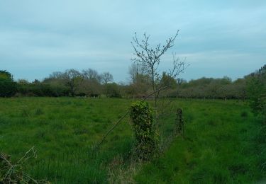 Randonnée Marche Saint-Coulomb - Tannée - St Coulomb - Photo