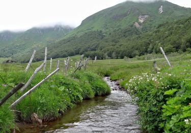 Randonnée Marche Chastreix - Chastreix_Sancy_Fontaine_Salee - Photo