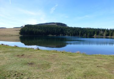 Tocht Stappen Vernines - lac de Servières - Photo