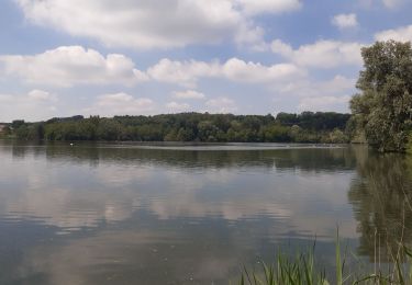 Tocht Stappen Huldenberg - petite rando autour du kinderveld  - Photo