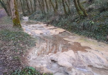 Excursión Senderismo Floirac - autour de Floirac  - Photo