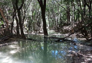 Randonnée Marche Nans-les-Pins - Sainte Baume : Nans les Pins - Chemin des Roys _ Les source de L'Huveaune - Photo