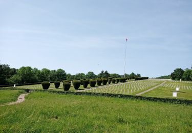 Percorso Marcia Soultz-Haut-Rhin - Croix Zimmermann - Vieil Armand (17/06/2021) - Photo