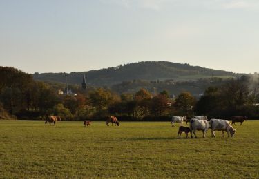 Tocht Te voet Manzat - Aux Sources de la Morge - Photo