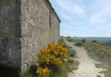 Trail Walking Les Assions - Boucle des Assions - Chapelle Ste.Appolonie - Photo