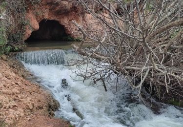 Trail Walking Vitrolles - 13/03/25 infernets Vitrolles  - Photo