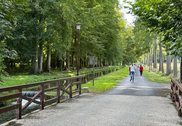 Percorso Bici da strada Saint-Pierre-en-Port - Les grandes dalles (pays de Caux) - Photo