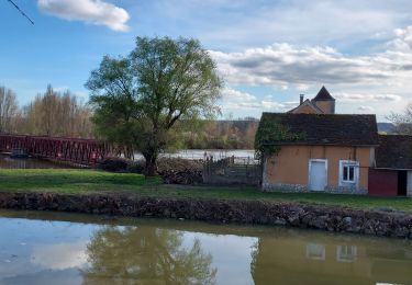 Tour Wandern Courlon-sur-Yonne - Courlon 240319 - Photo