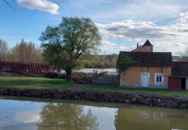 Tocht Stappen Courlon-sur-Yonne - Courlon 240319 - Photo