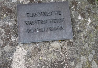 Trail Walking Furtwangen im Schwarzwald - La source du Danube - Photo