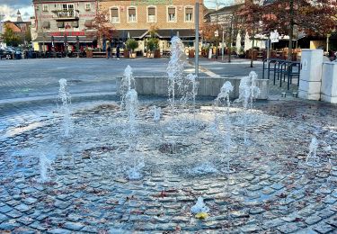 Tocht Stappen Hannuit - Hannut - 10km - Photo