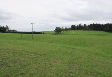 Tocht Te voet  - The Stiperstones Circular - Photo