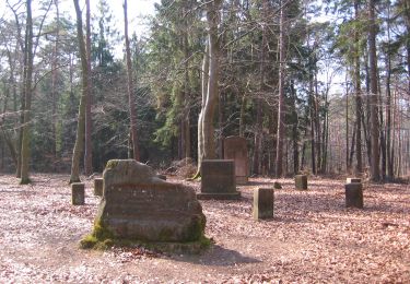 Trail On foot Enkenbach-Alsenborn - Rundwanderweg 3 Billesweiher - Photo