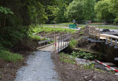 Randonnée A pied Langenbacher Forst - Frankenwaldsteigla 12-Apostel-Weg - Photo