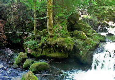 Tocht Stappen Saint-Pierre-Colamine - St_Pierre_Colamine_Fraisse_Chiloza - Photo