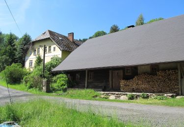 Excursión A pie Dešenice - [Ž] Děšenice - pod Prenetem - Photo