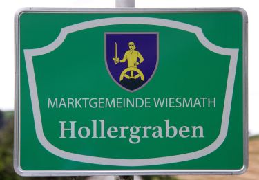 Percorso A piedi Gemeinde Wiesmath - Wiesmath - Nußleiten - Süßhof - Wiesmath - Photo