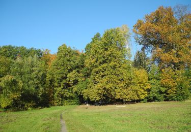 Tour Zu Fuß Unbekannt - Grüner Punkt 