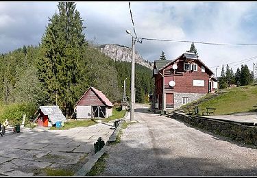 Randonnée A pied Gheorgheni - Lacu Roșu – Culmea lui Paleu – sub Poiana Albă (blue dot) - Photo