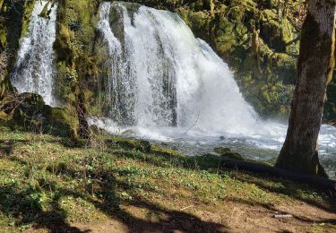 Excursión Senderismo Jeurre - partis de jeurre ensuite la chapelle Saint Romain et la cascade de l enragé  - Photo