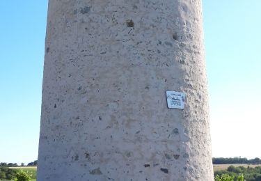 Randonnée Marche Val-du-Layon - St Aubin de Luigné - Photo