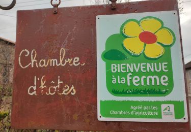 Trail Walking Bertrambois - les chambres d hôtes de Laurette  - Photo