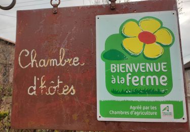 Tour Wandern Bertrambois - les chambres d hôtes de Laurette  - Photo