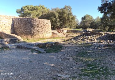 Excursión Senderismo Nages-et-Solorgues - nages-langlades - Photo