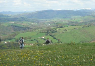 Trail Walking Lichos - CC_Velay_GB_29_Lichos_Ostabat-Asme_20090413 - Photo